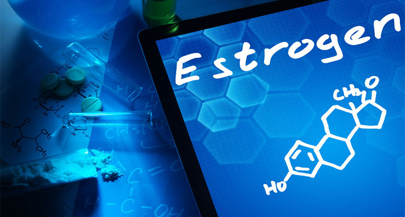 What Everyone Should Know About Environmental Estrogens